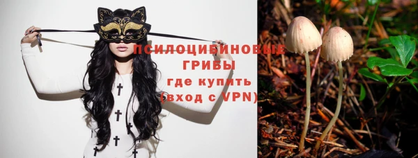 винт Армянск