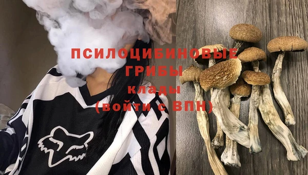 амф Арсеньев