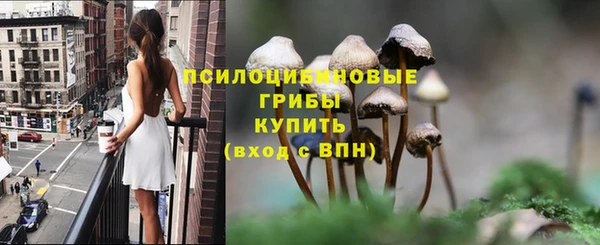 амф Арсеньев