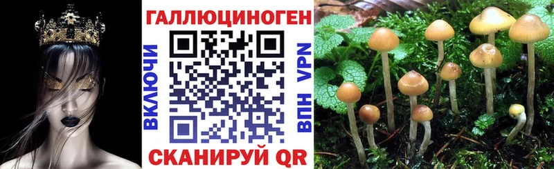 дарк нет состав  Верхоянск  Галлюциногенные грибы Psilocybe 